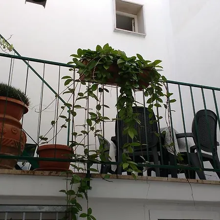 Armonia Salentina